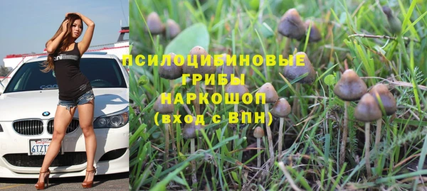 каннабис Бородино